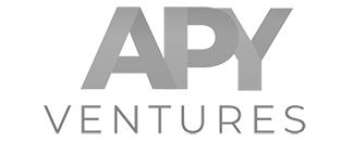 Qinvest Portföy / APY Ventures Bilişim Vadisi GSYF / Fonangels / CapitalTurk Holding / Alternatif SuperApp